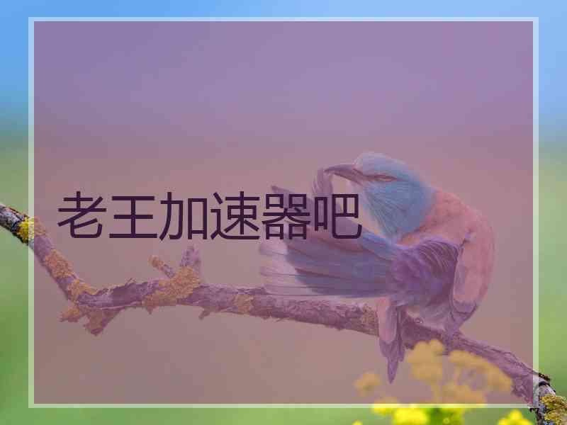 老王加速器吧