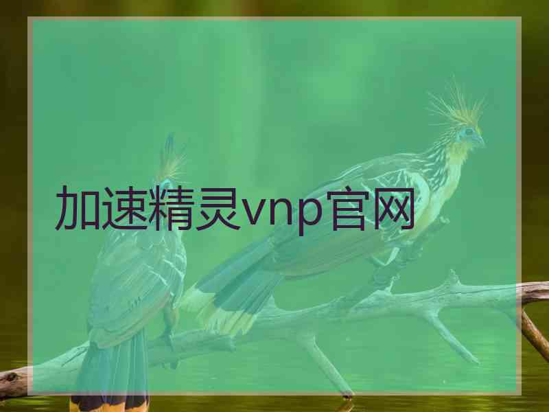 加速精灵vnp官网