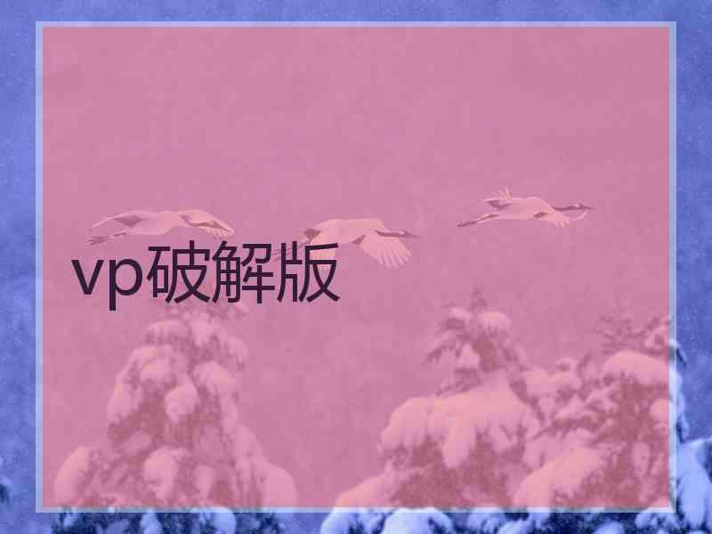 vp破解版