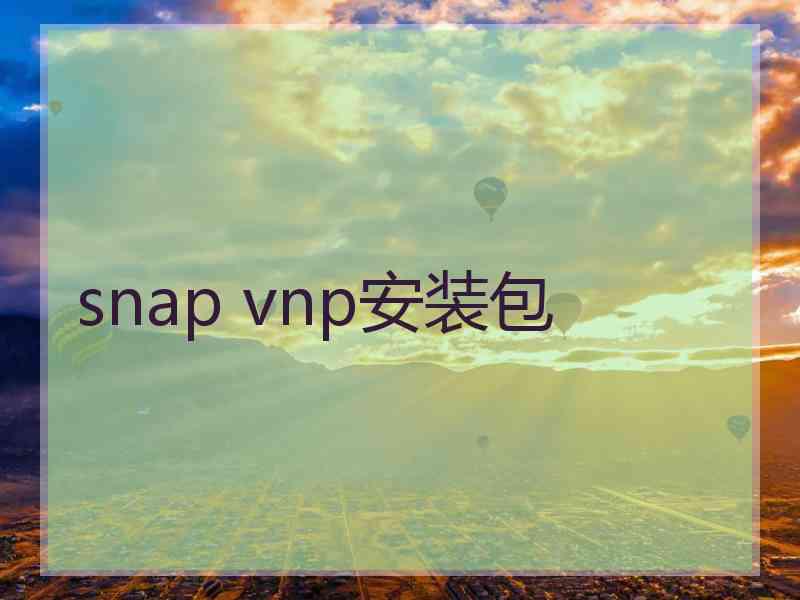 snap vnp安装包