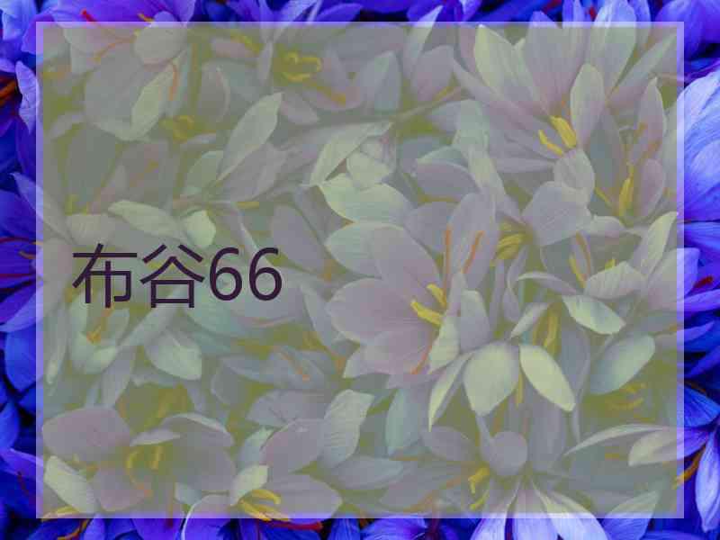 布谷66