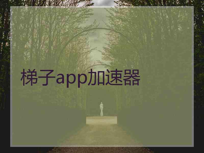 梯子app加速器