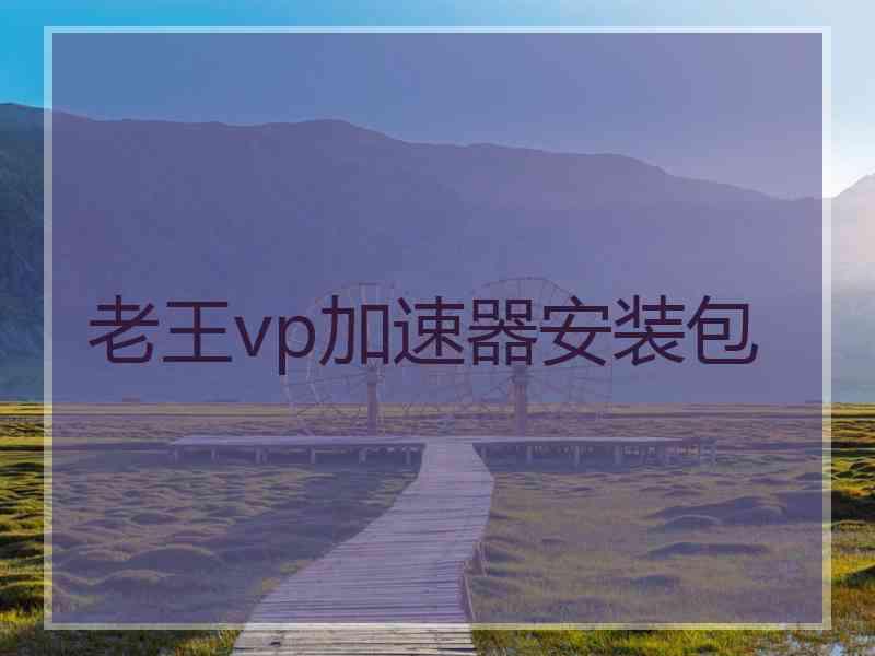 老王vp加速器安装包