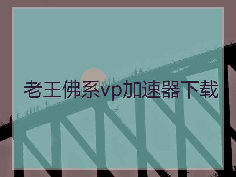 老王佛系vp加速器下载