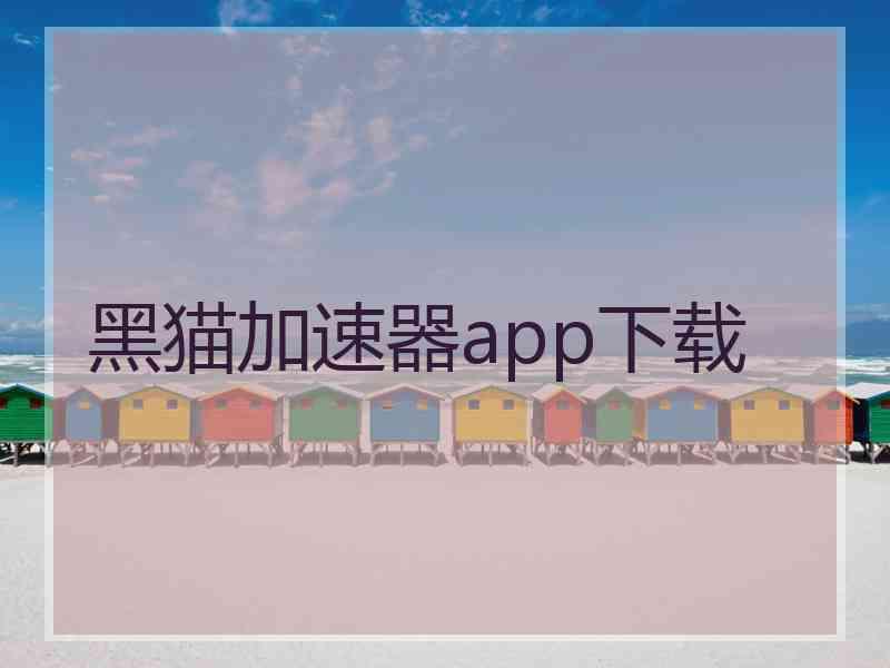 黑猫加速器app下载