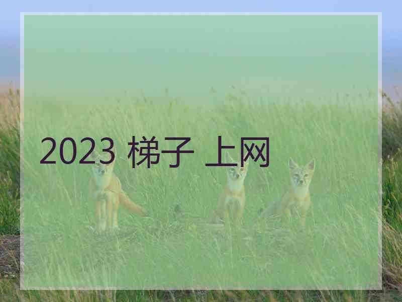 2023 梯子 上网