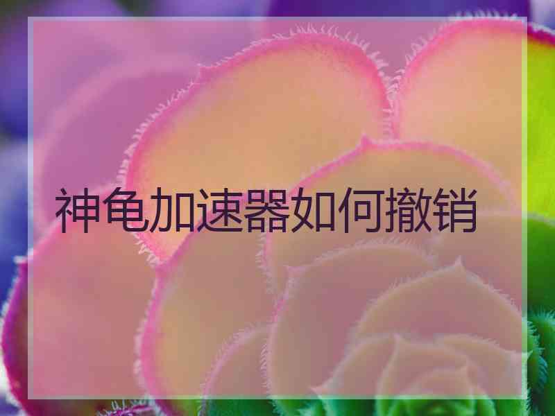 神龟加速器如何撤销