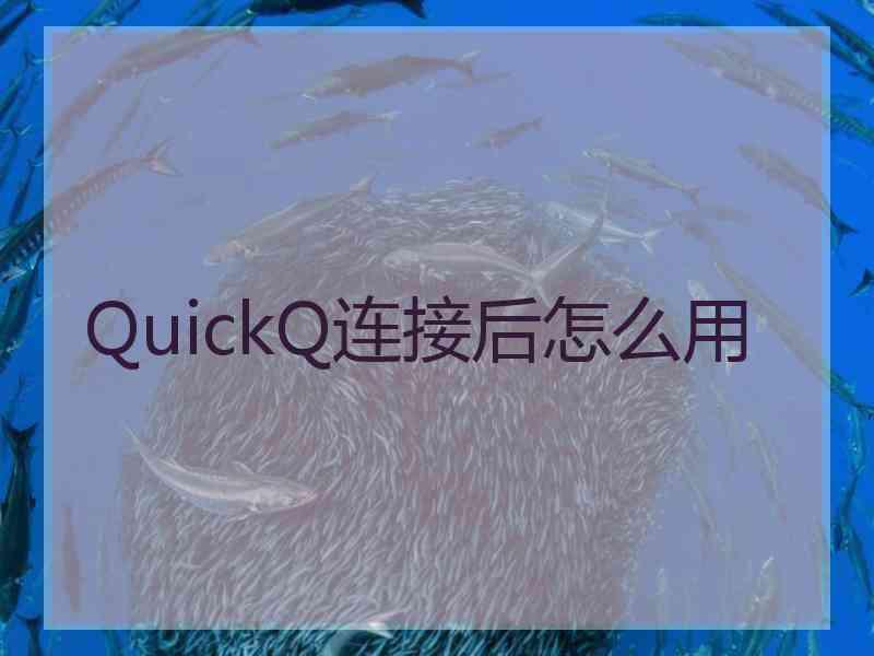 QuickQ连接后怎么用