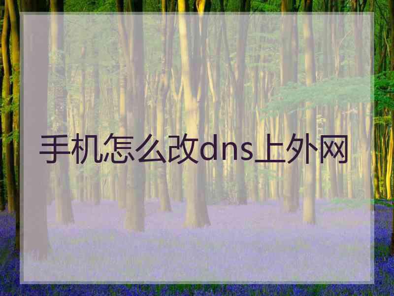 手机怎么改dns上外网