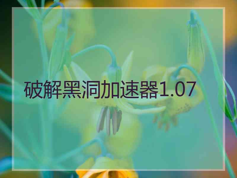 破解黑洞加速器1.07