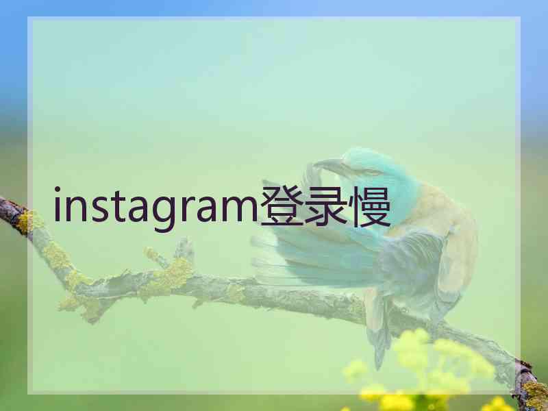 instagram登录慢