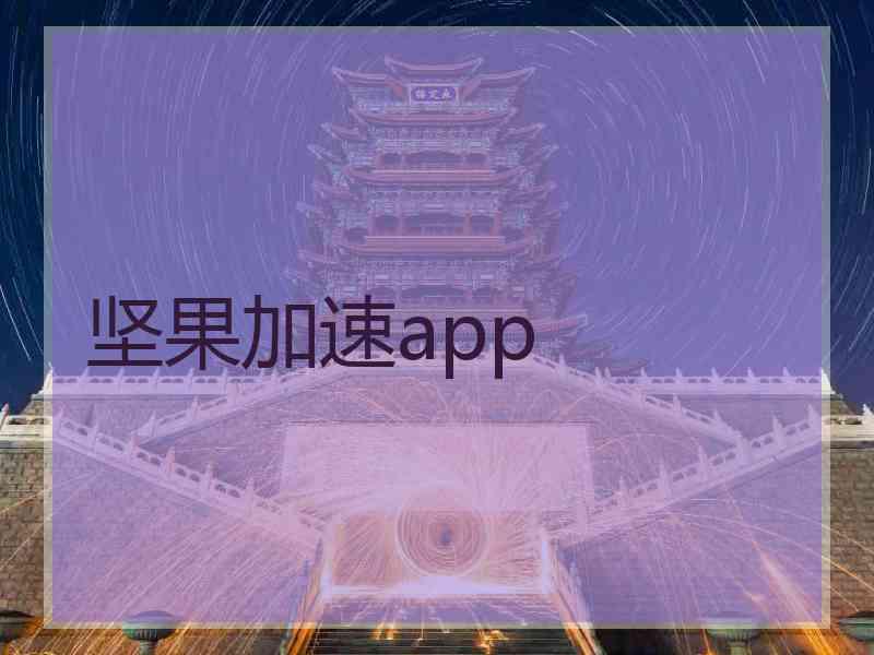 坚果加速app