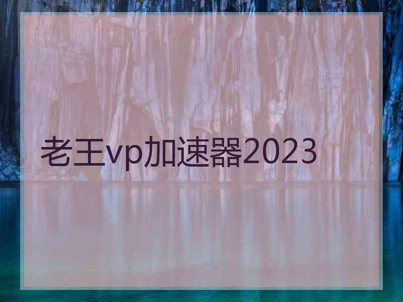 老王vp加速器2023