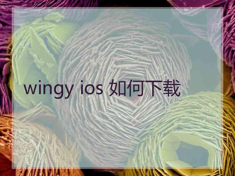 wingy ios 如何下载