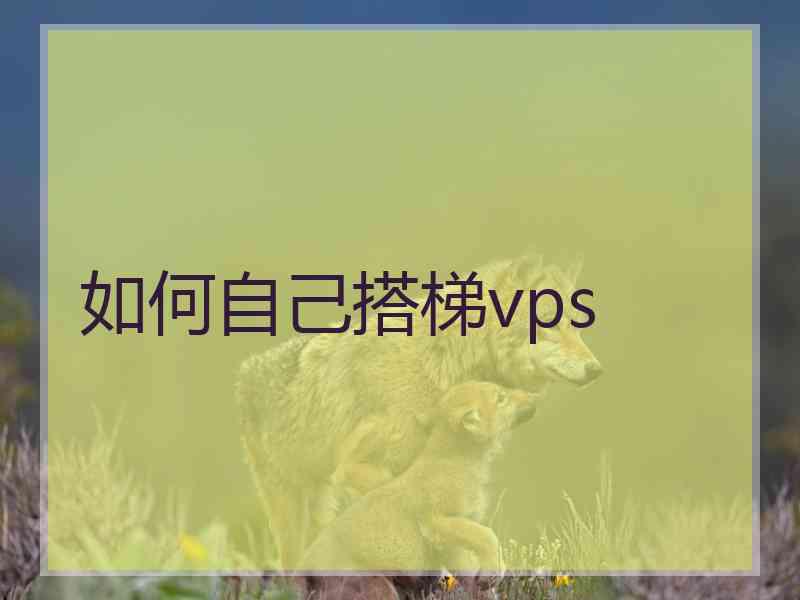 如何自己搭梯vps