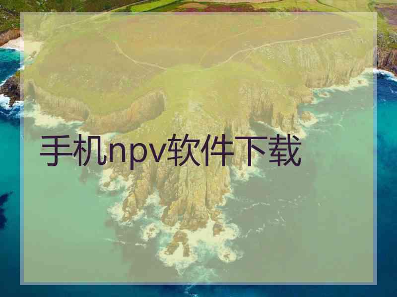 手机npv软件下载