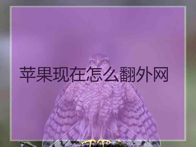 苹果现在怎么翻外网