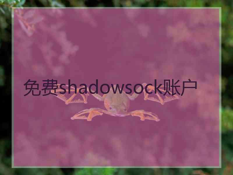 免费shadowsock账户