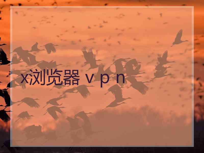 x浏览器 v p n