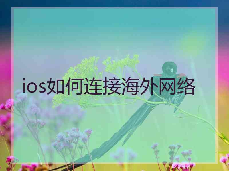 ios如何连接海外网络