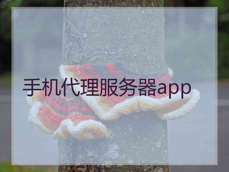 手机代理服务器app