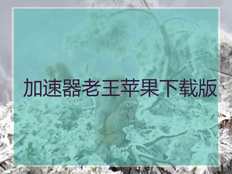 加速器老王苹果下载版