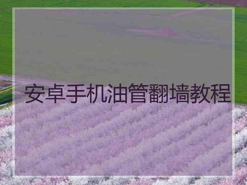 安卓手机油管翻墙教程