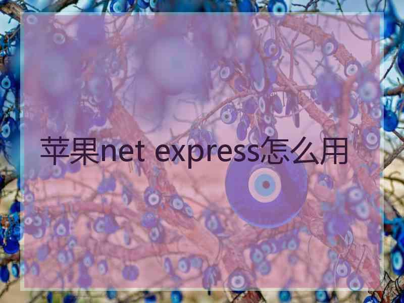 苹果net express怎么用