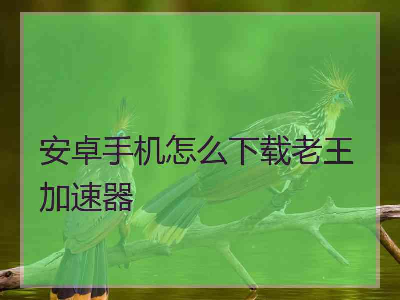 安卓手机怎么下载老王加速器