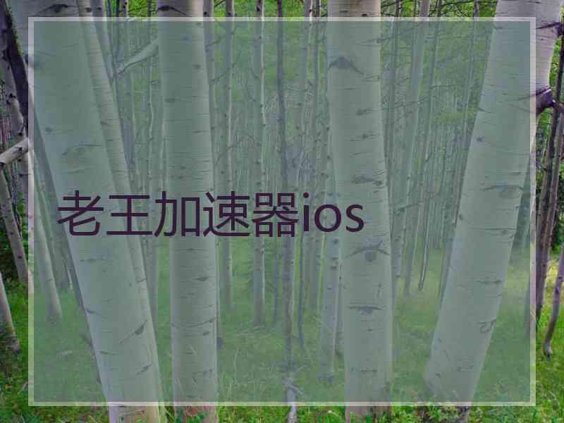 老王加速器ios