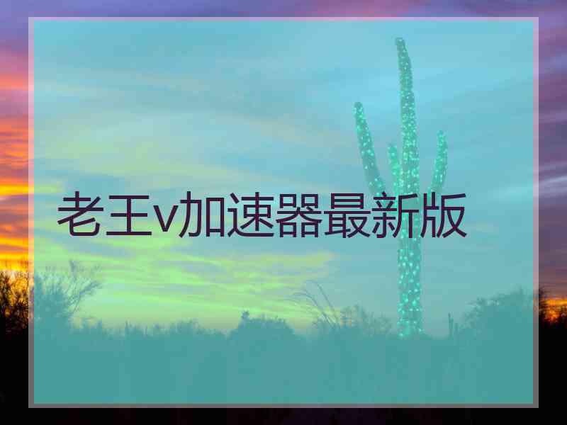 老王v加速器最新版