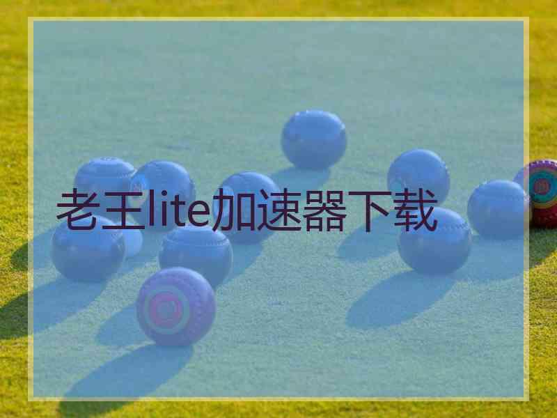 老王lite加速器下载