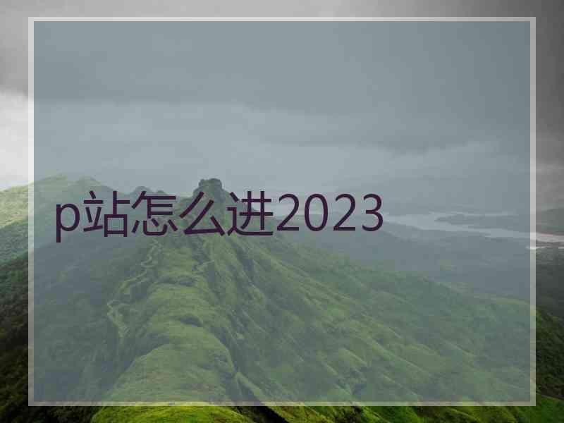 p站怎么进2023