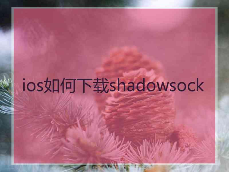 ios如何下载shadowsock