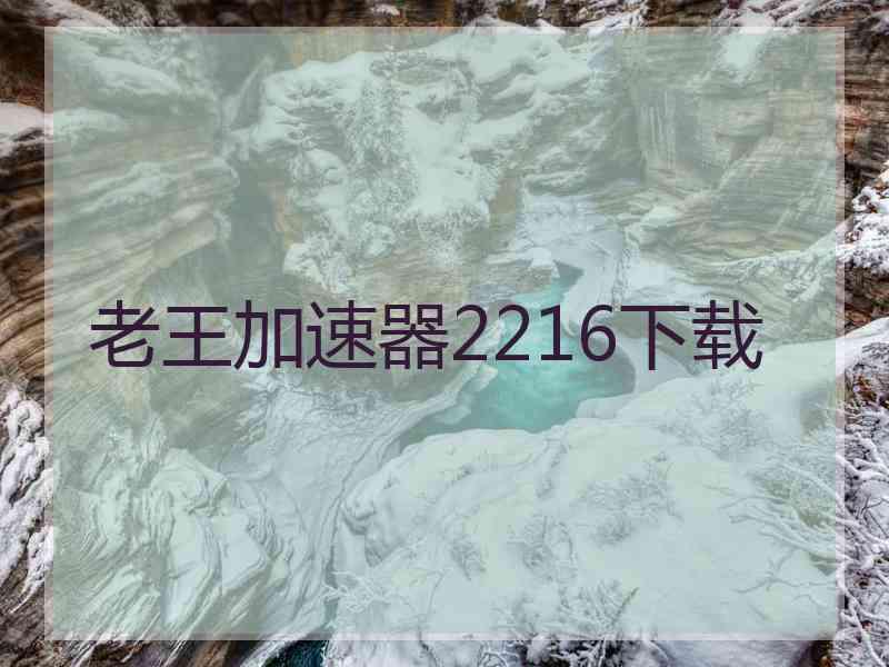 老王加速器2216下载