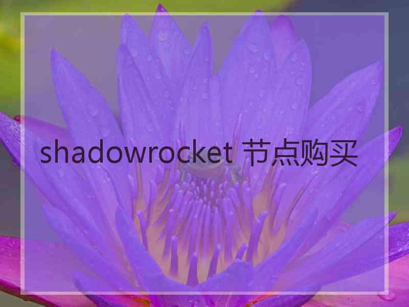 shadowrocket 节点购买