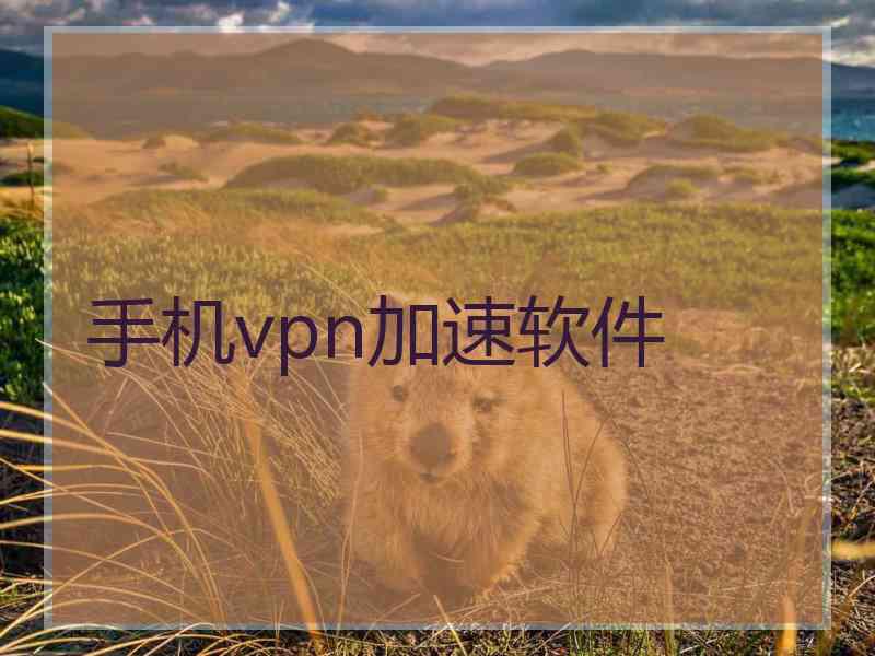 手机vpn加速软件