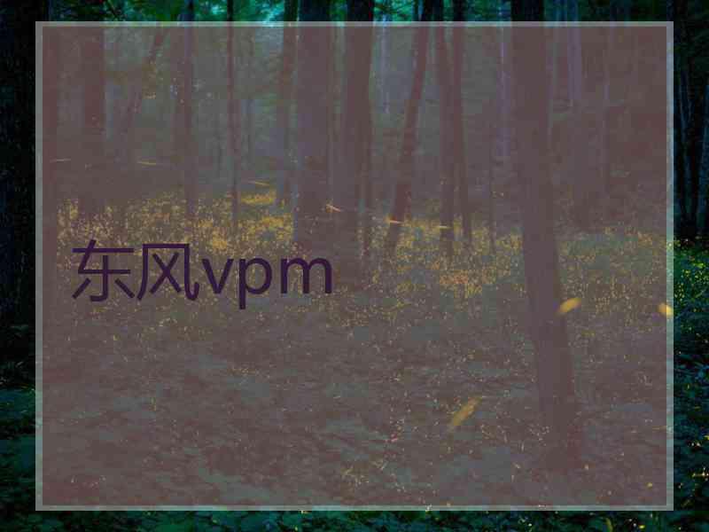 东风vpm