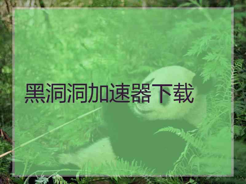 黑洞洞加速器下载