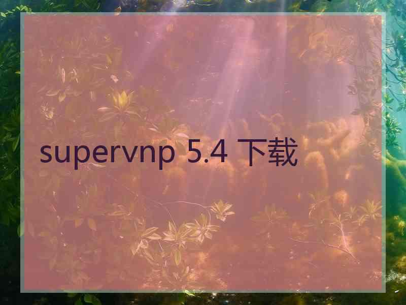 supervnp 5.4 下载