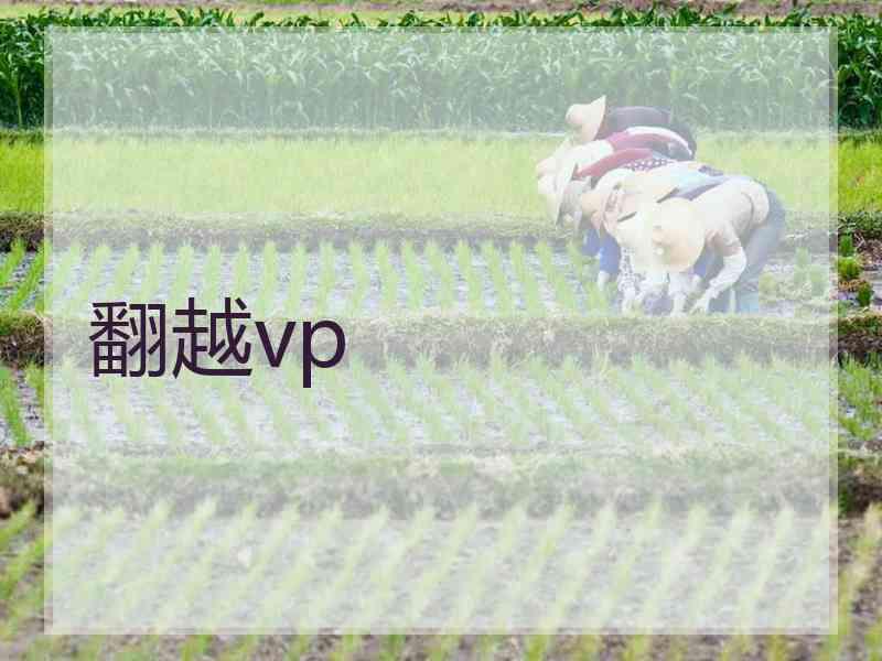 翻越vp