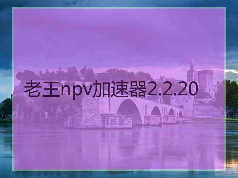 老王npv加速器2.2.20