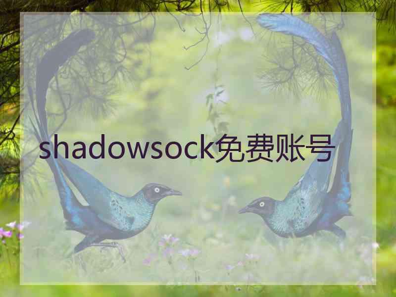 shadowsock免费账号