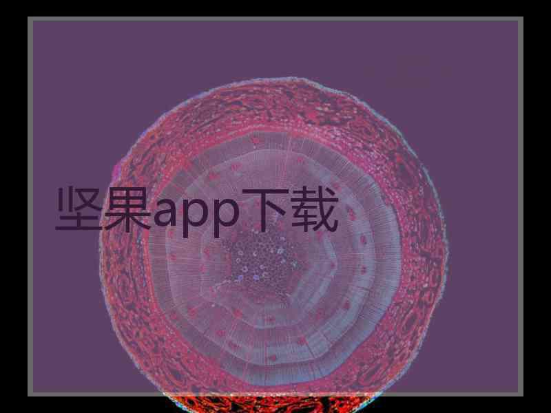 坚果app下载