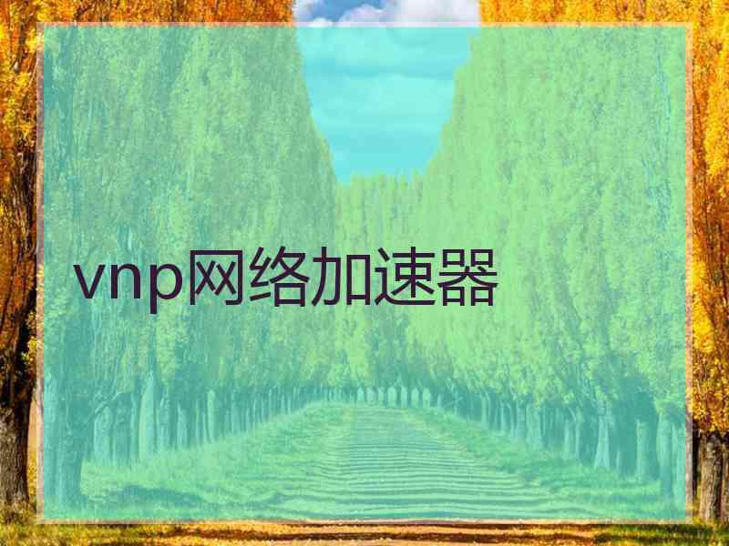 vnp网络加速器