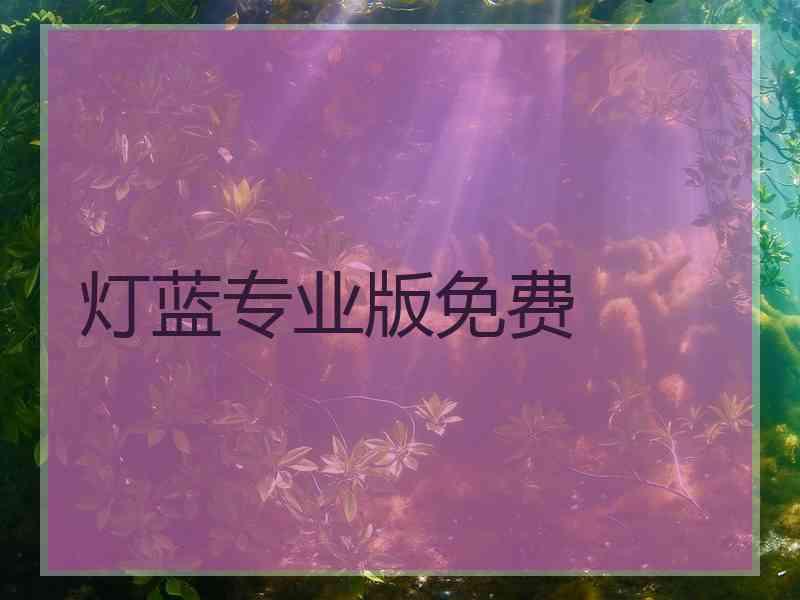 灯蓝专业版免费