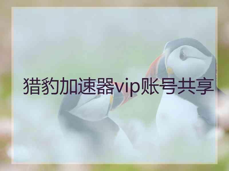 猎豹加速器vip账号共享