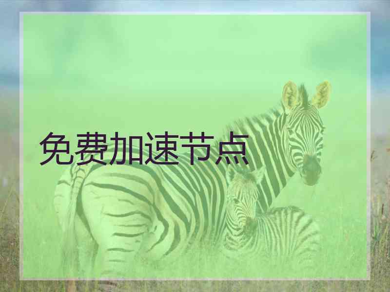 免费加速节点