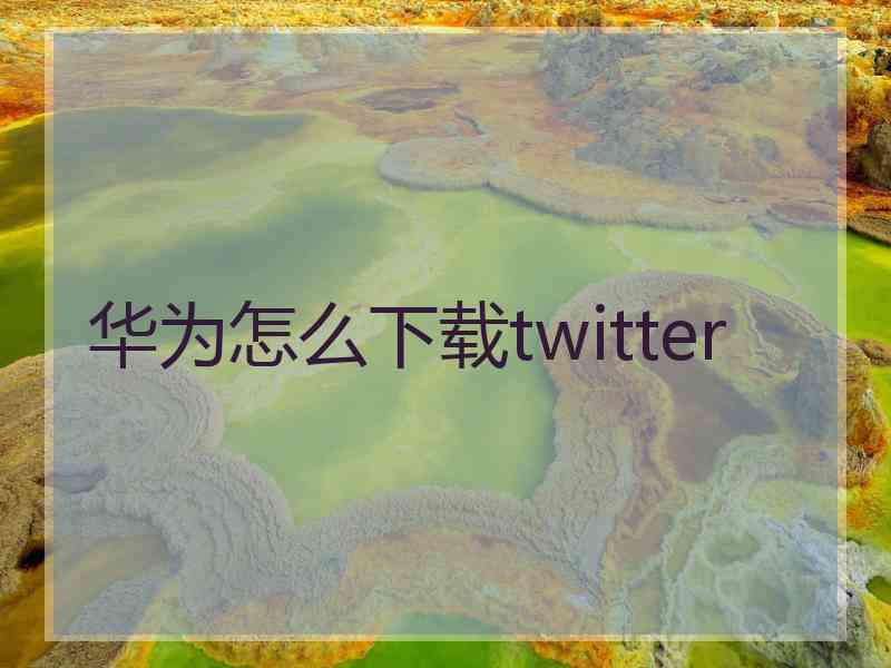 华为怎么下载twitter