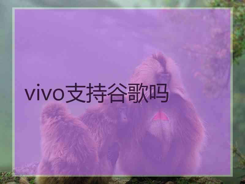 vivo支持谷歌吗